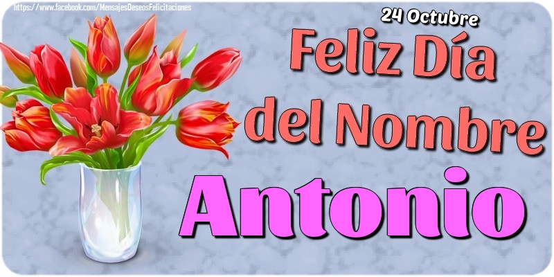 Felicitaciones de Onomástica - 24 Octubre - Feliz Día del Nombre Antonio!