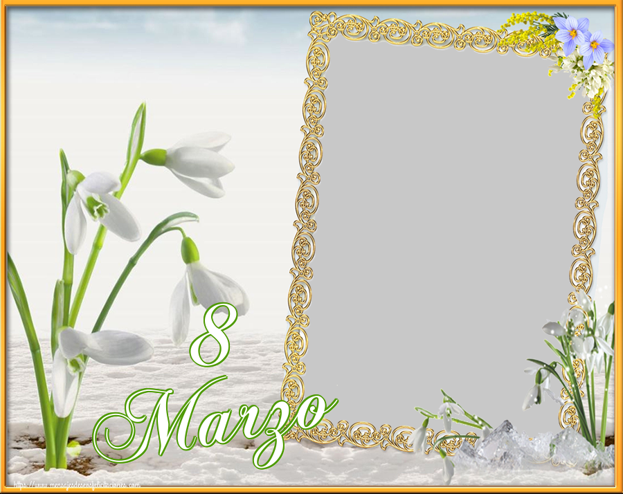 Felicitaciones Personalizadas para el día de la mujer - Flores & Marco De Fotos & 1 Foto | 8 Marzo - Marco de foto
