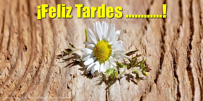 Felicitaciones Personalizadas de buenas tardes - Flores | ¡Feliz Tardes ...!