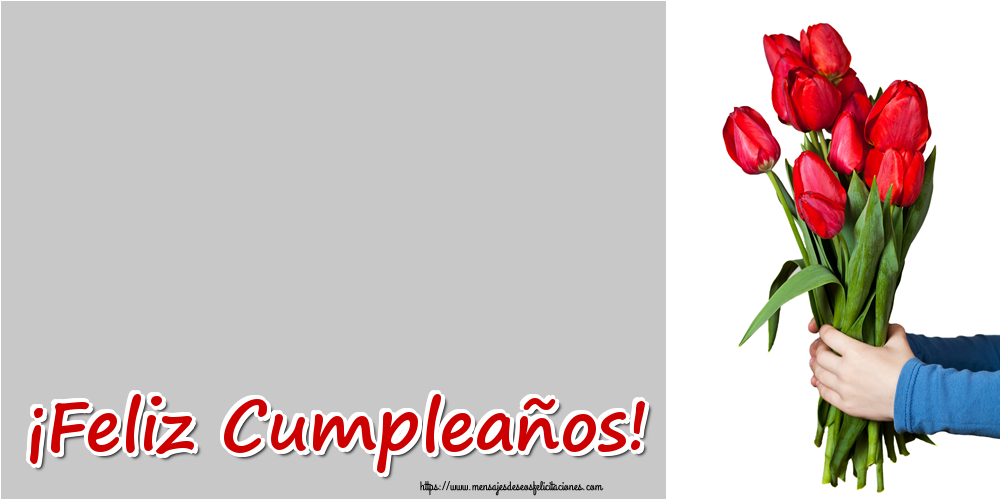 Felicitaciones Personalizadas de cumpleaños - 🌼 Flores & 1 Foto & Marco De Fotos | ¡Feliz Cumpleaños!