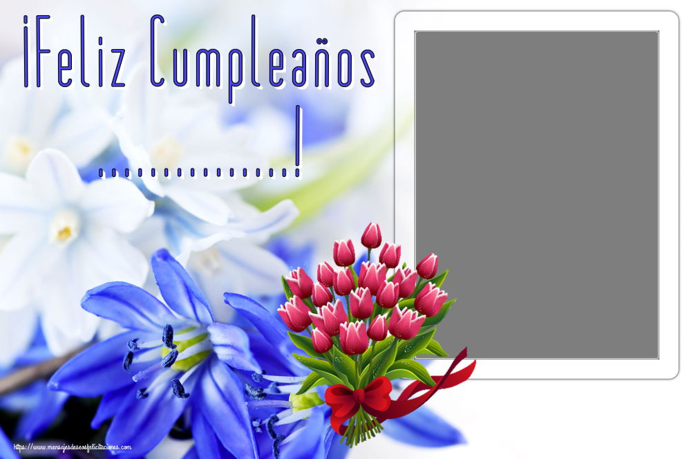 Felicitaciones Personalizadas de cumpleaños - 🌼 Flores & 1 Foto & Marco De Fotos | ¡Feliz Cumpleaños ...! - Marco de foto ~ ramo de tulipanes - Clipart