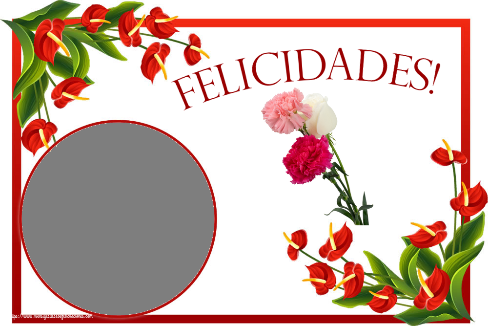 Felicitaciones Personalizadas de cumpleaños - Flores & 1 Foto & Marco De Fotos | Felicidades! - Marco de foto