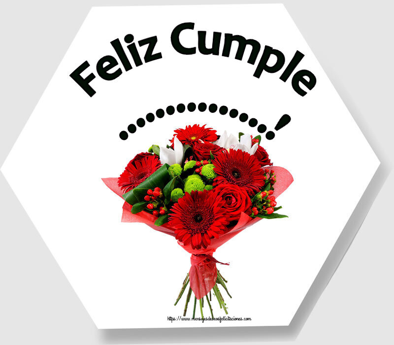 Felicitaciones Personalizadas de cumpleaños - Flores | Feliz Cumple ...! ~ ramo de gerberas