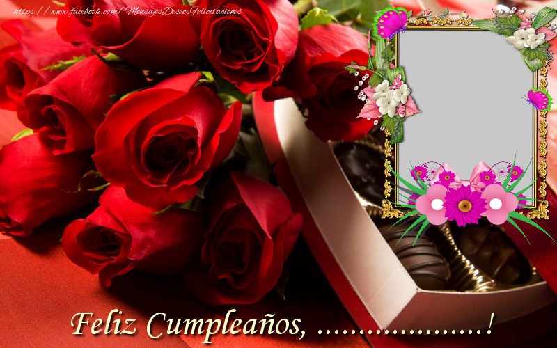 Felicitaciones Personalizadas de cumpleaños - 🌹 Marco De Fotos & Rosas & 1 Foto | Feliz Cumpleaños, ...