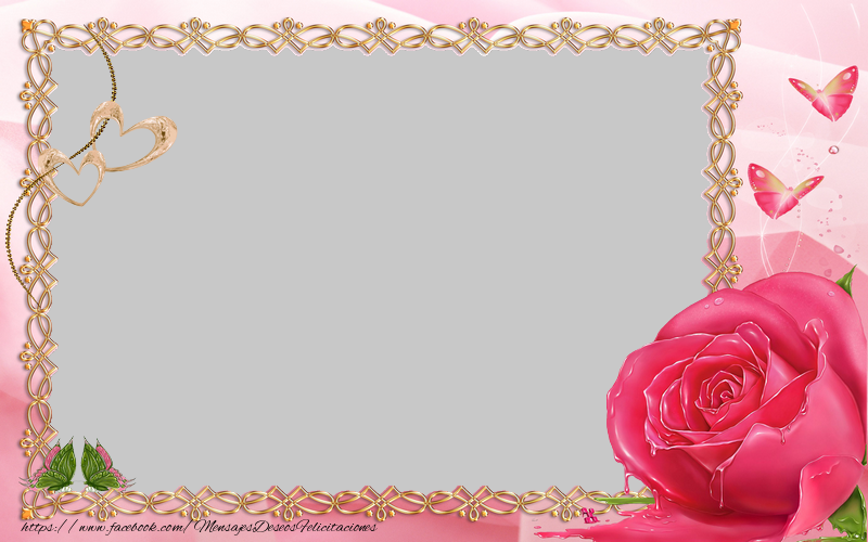 Felicitaciones Personalizadas con fotos - Rosa rosa