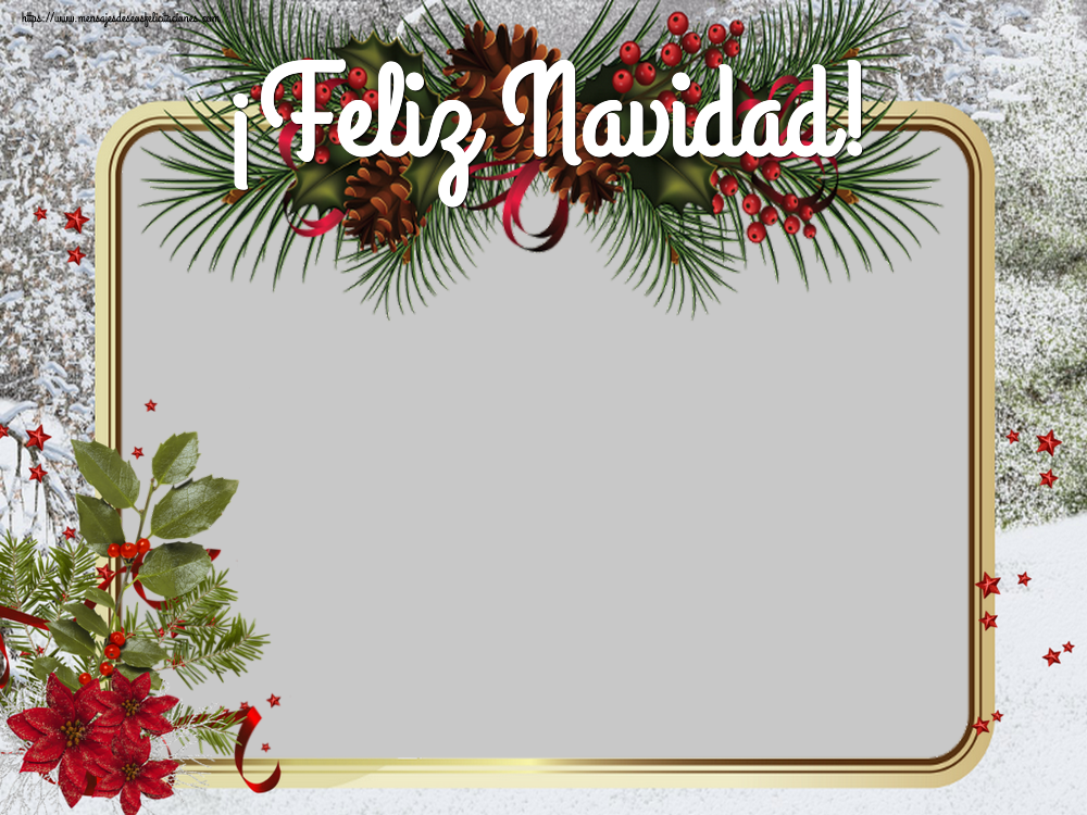 Felicitaciones Personalizadas de Navidad - Marco De Fotos & Flores & 1 Foto | ¡Feliz Navidad! - Marco de foto de Navidad