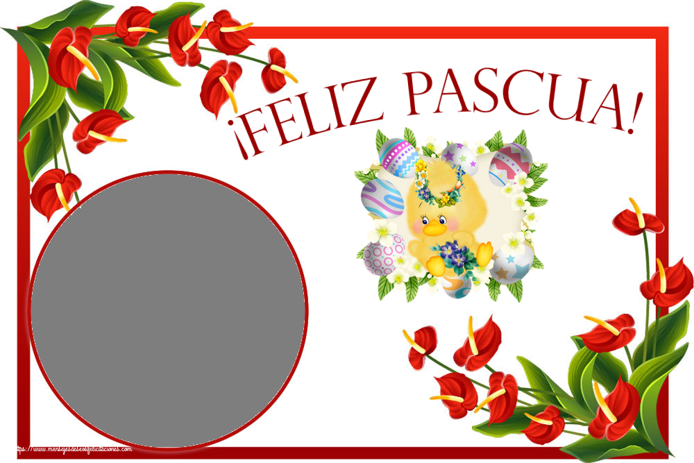 Felicitaciones Personalizadas de pascua - Pollo & 1 Foto & Marco De Fotos | ¡Feliz Pascua! - Marco de foto