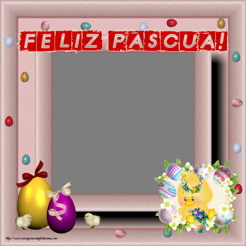 Felicitaciones Personalizadas de pascua - Pollo & 1 Foto & Marco De Fotos | ¡Feliz Pascua! - Crea tarjetaa personalizadas con foto perfil de facebook ~ pollitos, huevos y flores