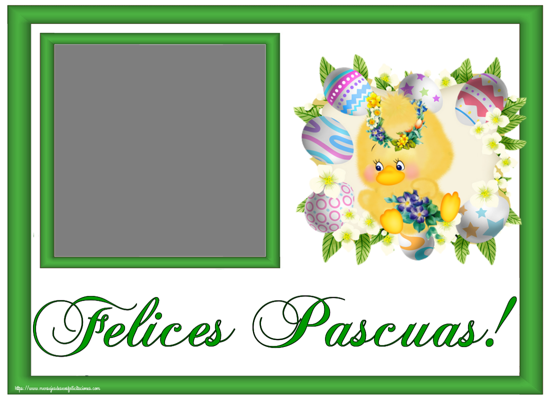 Felicitaciones Personalizadas de pascua - Pollo & 1 Foto & Marco De Fotos | ¡Felices Pascuas! - Crea tarjetaa personalizadas con foto perfil de facebook ~ pollitos, huevos y flores